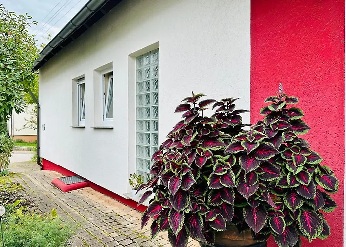 ☆Gemuetliche 1-Zimmerwohnung Mit Terrasse☆