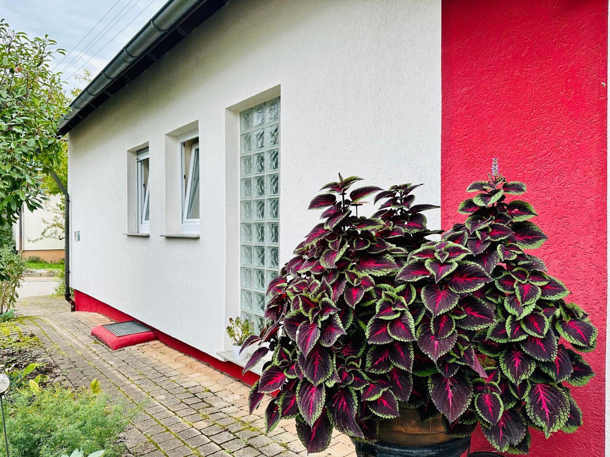 ☆gemuetliche 1-zimmerwohnung Mit Terrasse☆ Апартаменты