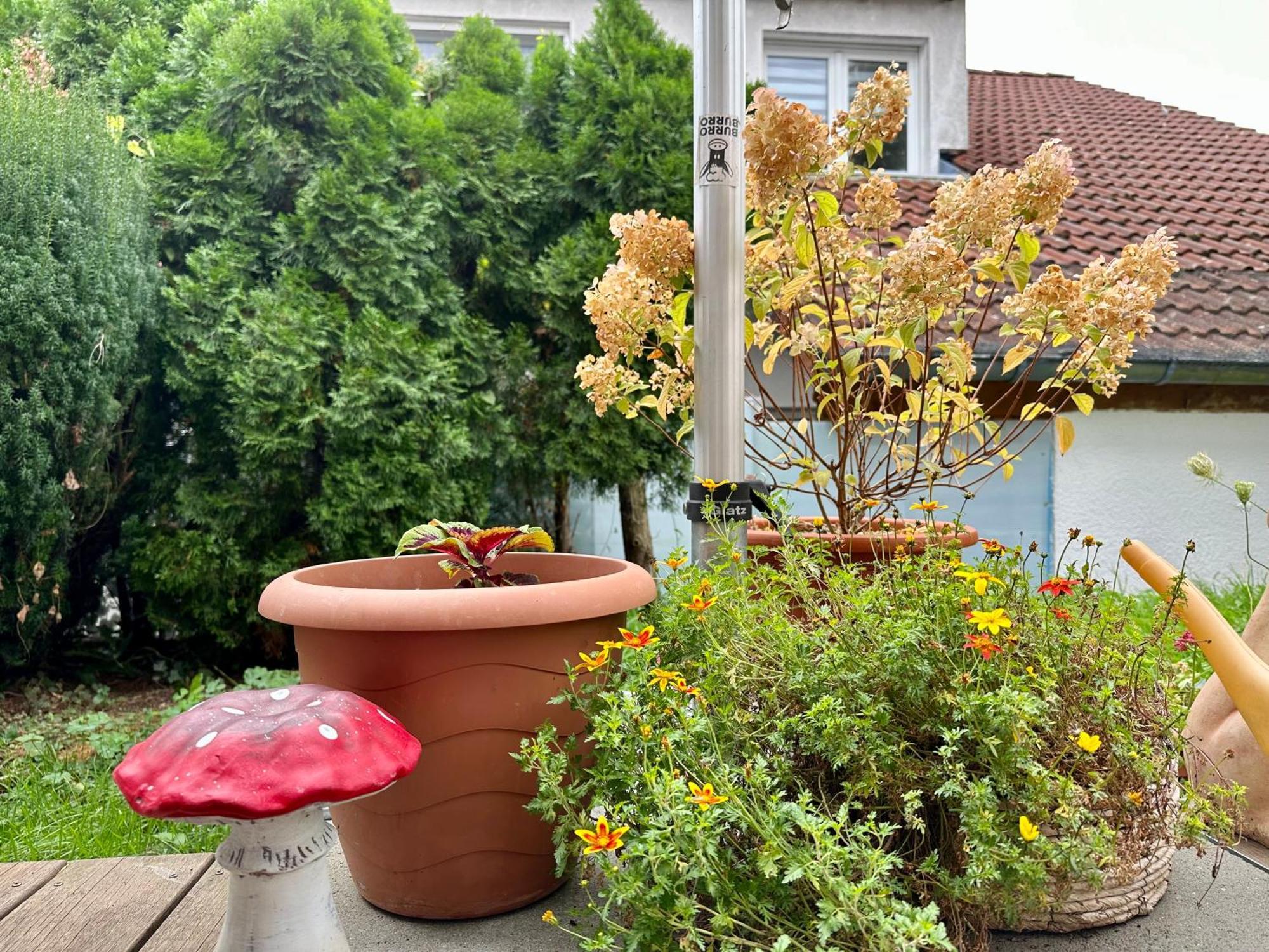 ☆gemuetliche 1-zimmerwohnung Mit Terrasse☆ * Rielingshausen